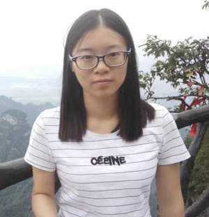 Lin Ding (2016)