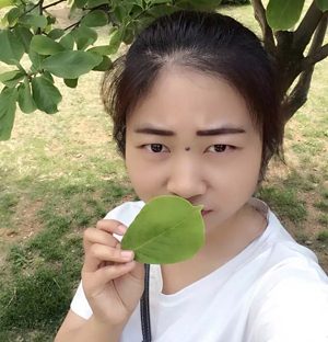 Yingwen Li (2016)